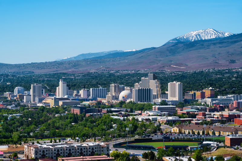 Tree Crown Shaping in Reno, NV