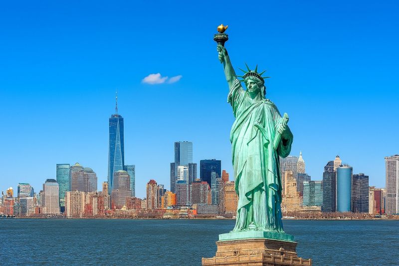 Tree Lopping Service in New York, NY