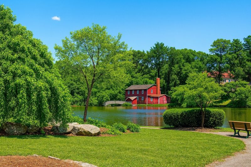 Tree Lopping Service in Bergenfield, NJ