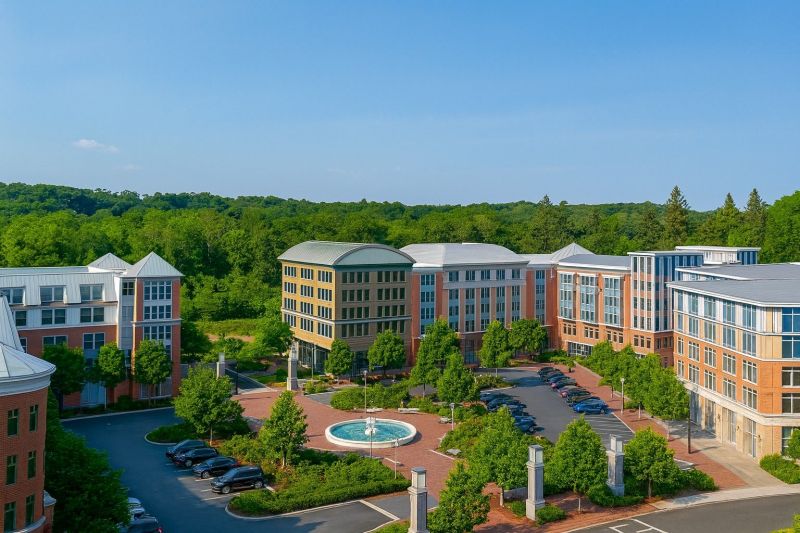 Tree Trimming Service in Brewster, NY