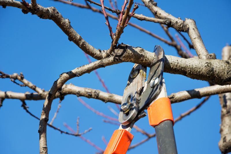 Limbs Trimming