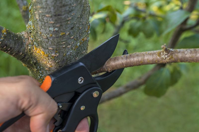 Limbs Trimming