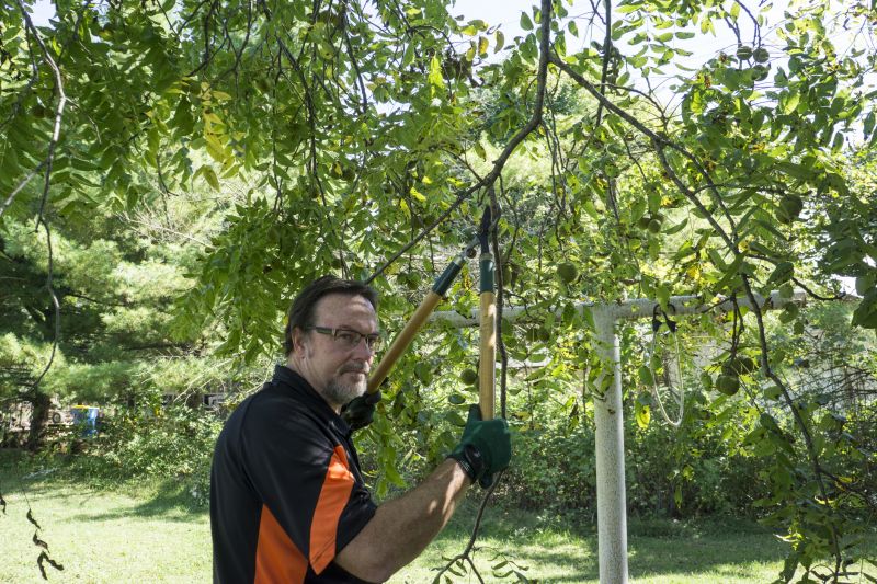 Limbs Trimming