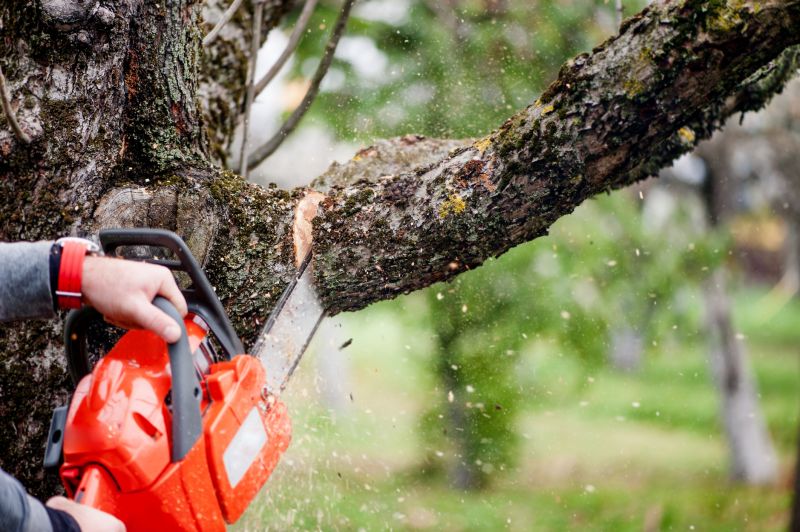 Limbs Trimming