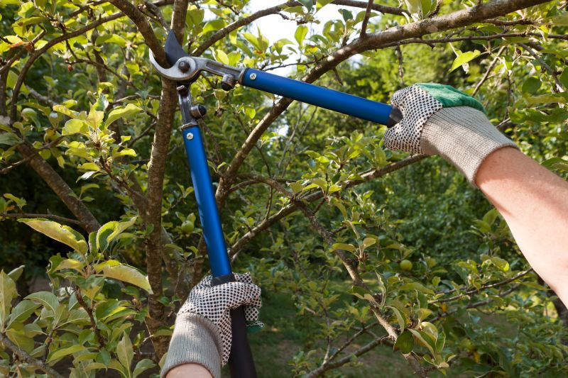 Limbs Trimming