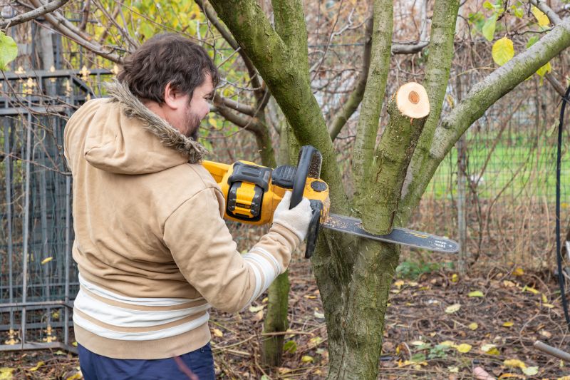 Tree Lopping Service