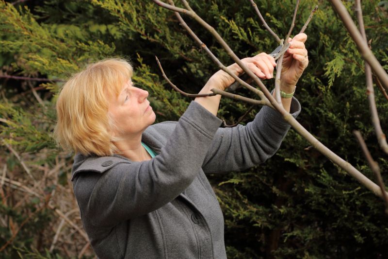 Tree Pruning