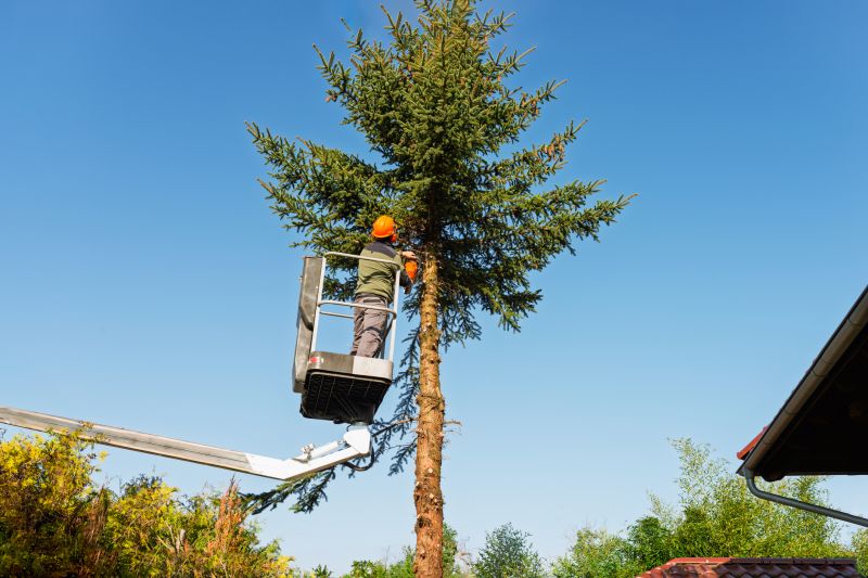 Tree Shearing