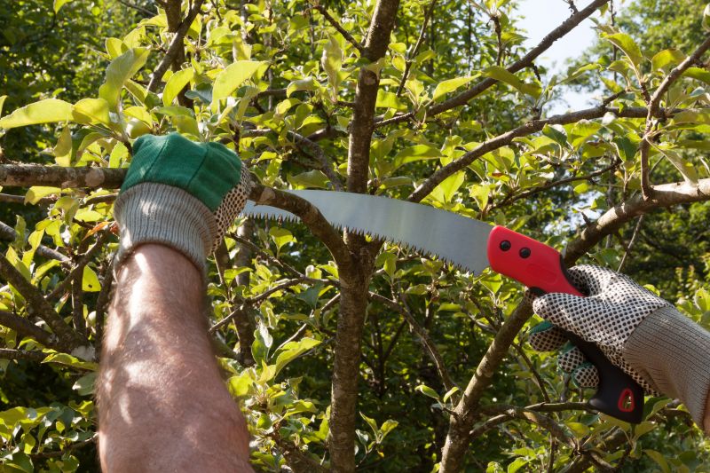 Tree Shearing